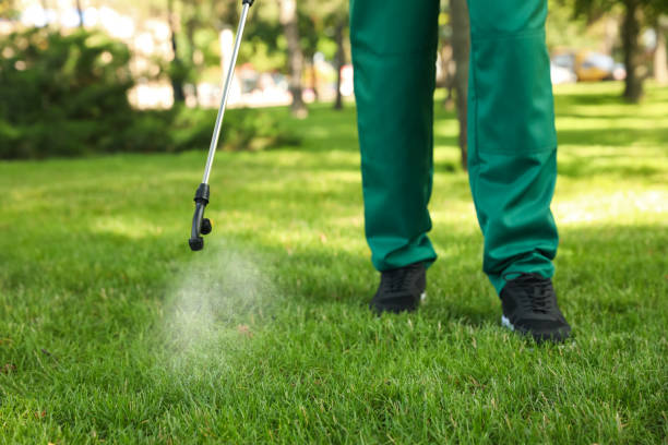 Best Pest Control Near Me  in Yardville, NJ