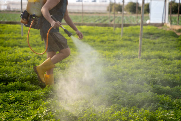 Best Pest Control for Homes  in Yardville, NJ