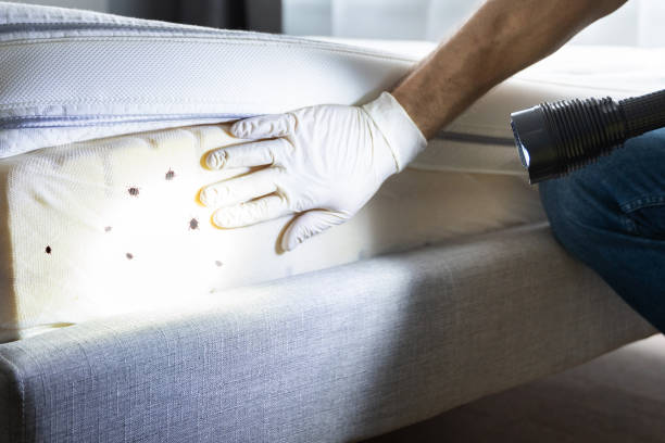 Best Affordable Pest Control Services  in Yardville, NJ