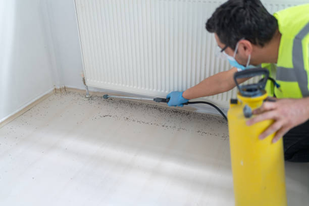 Best Affordable Pest Control Services  in Yardville, NJ