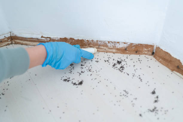 Best Cockroach Control Services  in Yardville, NJ