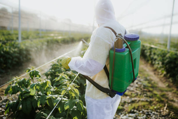 Best Pest Control Cost  in Yardville, NJ